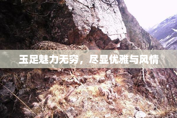 玉足魅力无穷，尽显优雅与风情