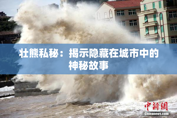 壮熊私秘：揭示隐藏在城市中的神秘故事