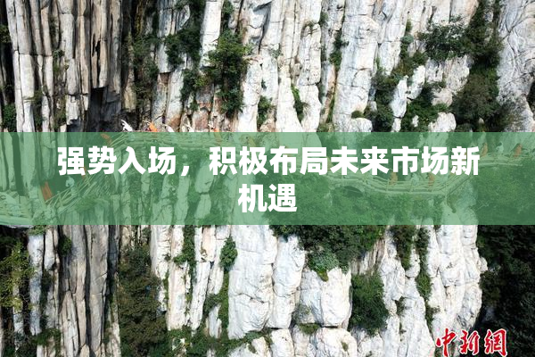 强势入场，积极布局未来市场新机遇