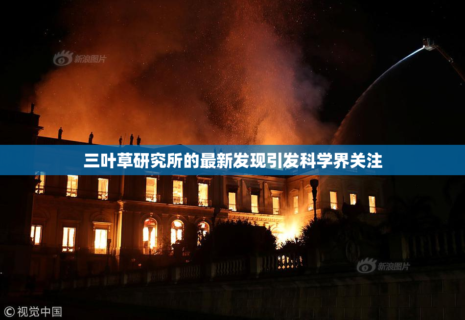 三叶草研究所的最新发现引发科学界关注