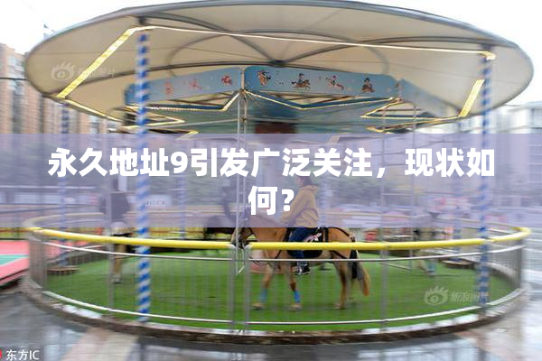 永久地址9引发广泛关注，现状如何？