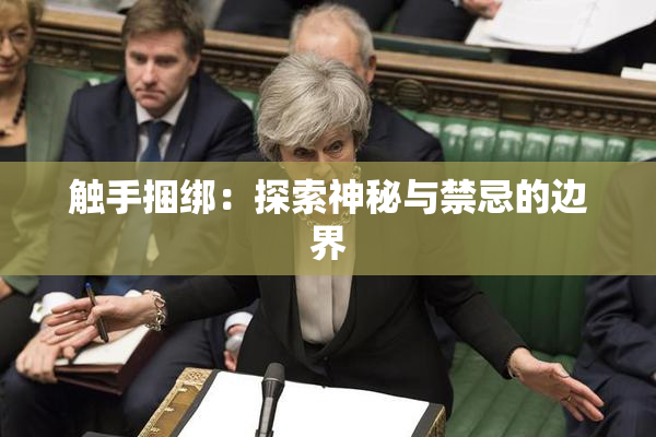 触手捆绑：探索神秘与禁忌的边界