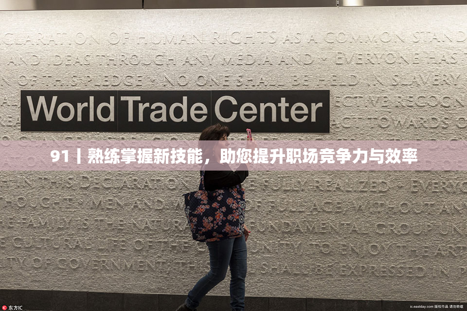91丨熟练掌握新技能，助您提升职场竞争力与效率
