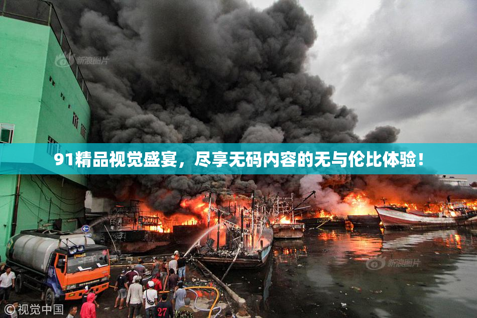 91精品视觉盛宴，尽享无码内容的无与伦比体验！