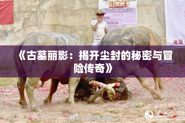 《古墓丽影：揭开尘封的秘密与冒险传奇》