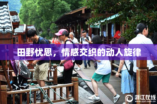 田野忧思，情感交织的动人旋律