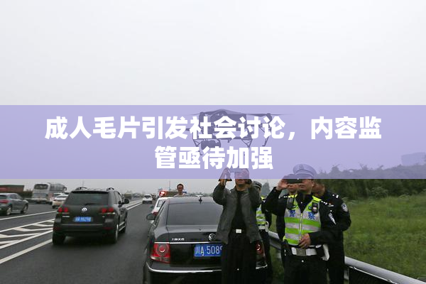 成人毛片引发社会讨论，内容监管亟待加强