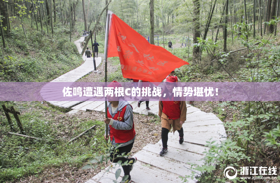 佐鸣遭遇两根C的挑战，情势堪忧！