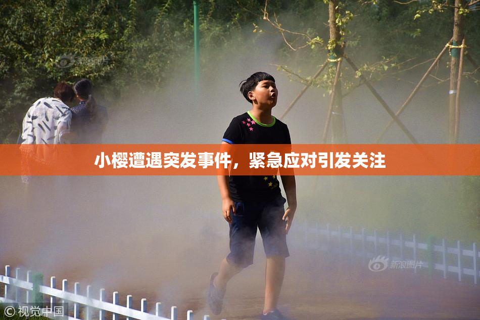 小樱遭遇突发事件，紧急应对引发关注