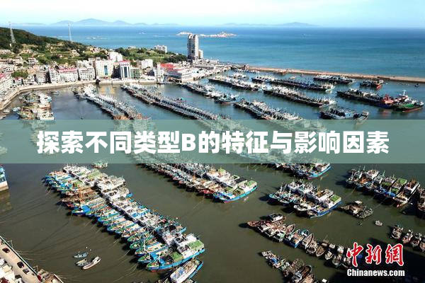 探索不同类型B的特征与影响因素