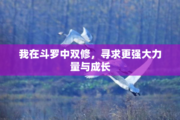 我在斗罗中双修，寻求更强大力量与成长