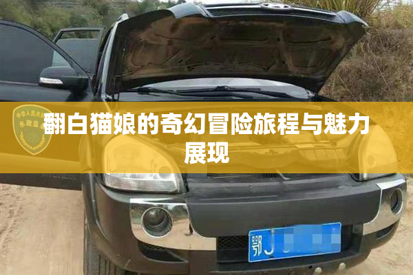 翻白猫娘的奇幻冒险旅程与魅力展现