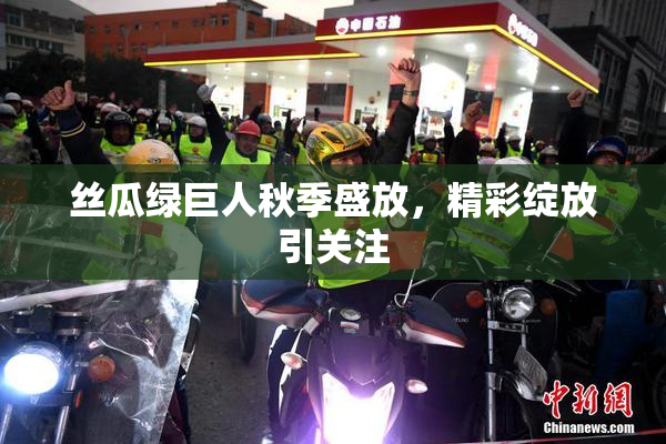 丝瓜绿巨人秋季盛放，精彩绽放引关注