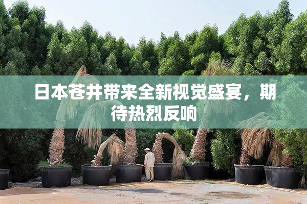 日本苍井带来全新视觉盛宴，期待热烈反响