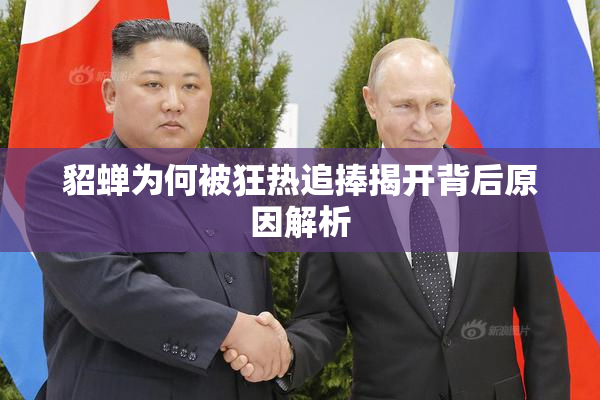貂蝉为何被狂热追捧揭开背后原因解析