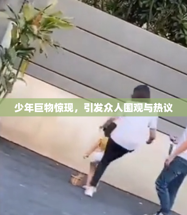 少年巨物惊现，引发众人围观与热议