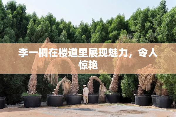 李一桐在楼道里展现魅力，令人惊艳