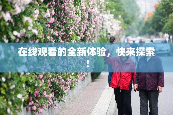 在线观看的全新体验，快来探索！