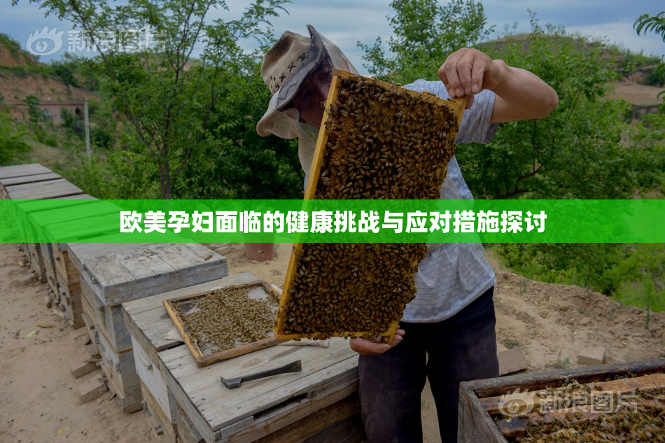欧美孕妇面临的健康挑战与应对措施探讨