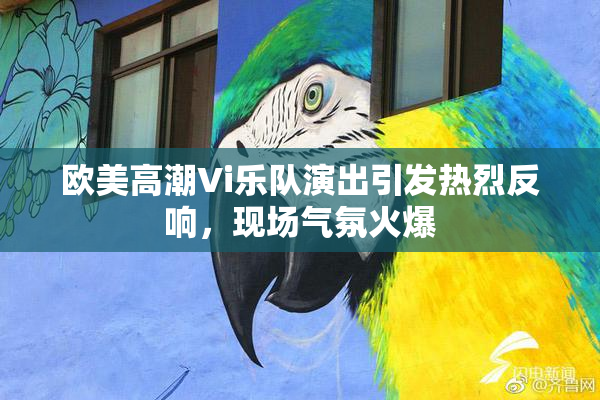 欧美高潮Vi乐队演出引发热烈反响，现场气氛火爆