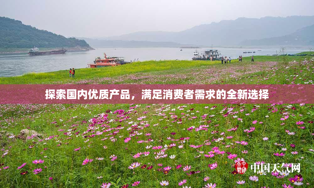 探索国内优质产品，满足消费者需求的全新选择