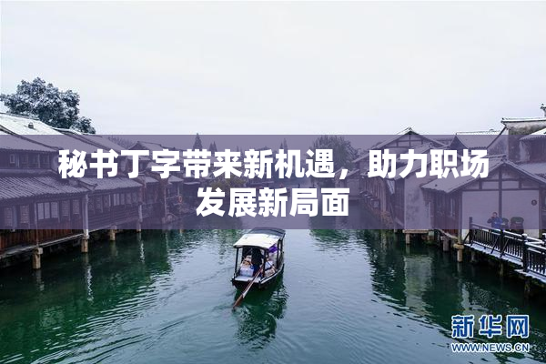 秘书丁字带来新机遇，助力职场发展新局面