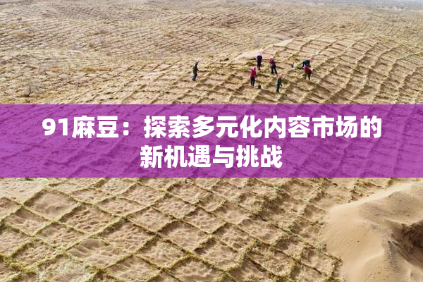 91麻豆：探索多元化内容市场的新机遇与挑战