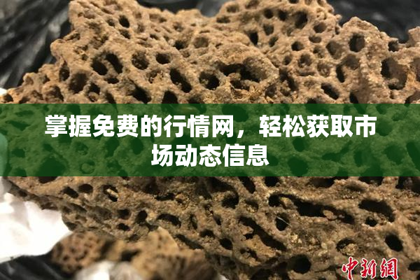 掌握免费的行情网，轻松获取市场动态信息