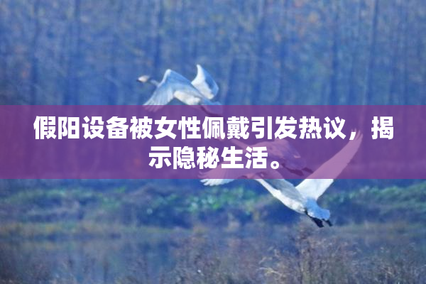 假阳设备被女性佩戴引发热议，揭示隐秘生活。