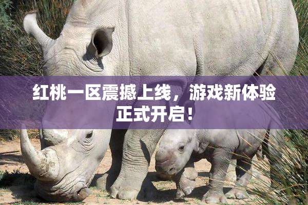 红桃一区震撼上线，游戏新体验正式开启！