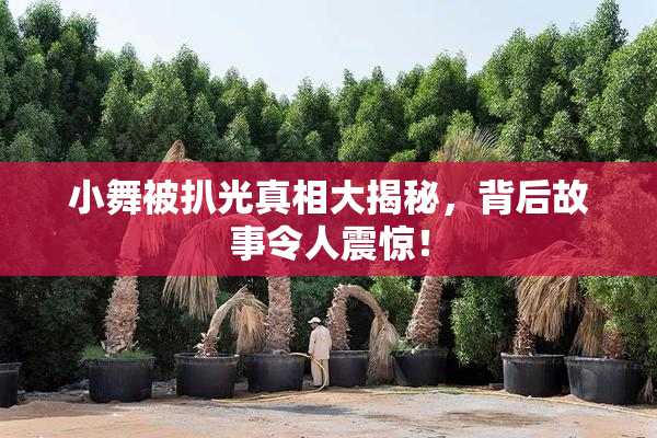 小舞被扒光真相大揭秘，背后故事令人震惊！