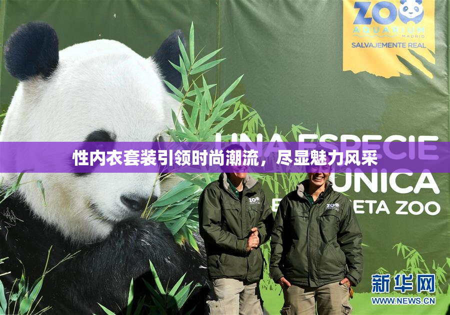 性内衣套装引领时尚潮流，尽显魅力风采