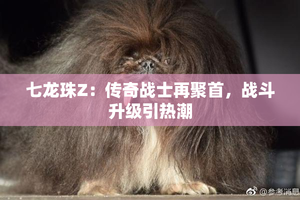 七龙珠Z：传奇战士再聚首，战斗升级引热潮