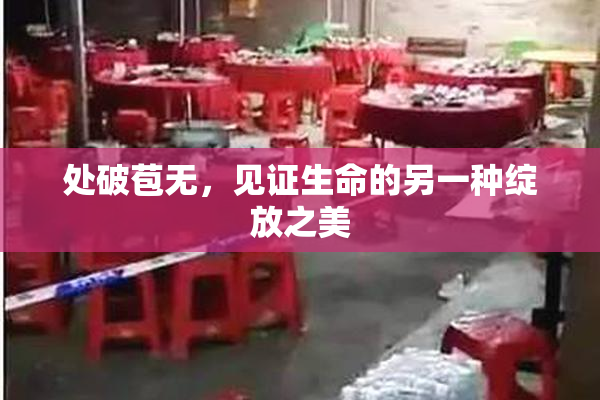 处破苞无，见证生命的另一种绽放之美