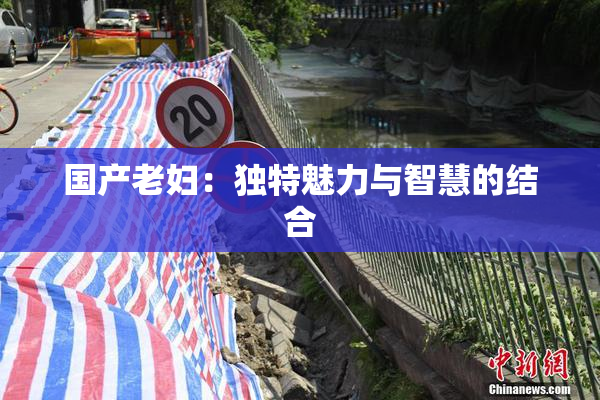 国产老妇：独特魅力与智慧的结合