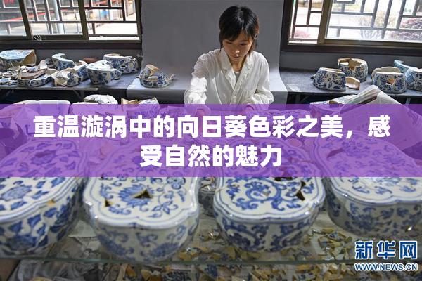 重温漩涡中的向日葵色彩之美，感受自然的魅力
