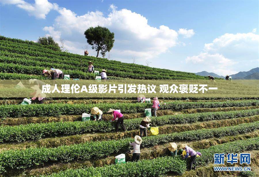 成人理伦A级影片引发热议 观众褒贬不一