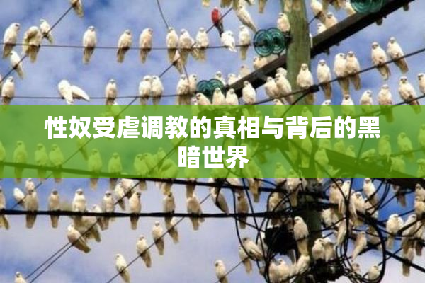 性奴受虐调教的真相与背后的黑暗世界