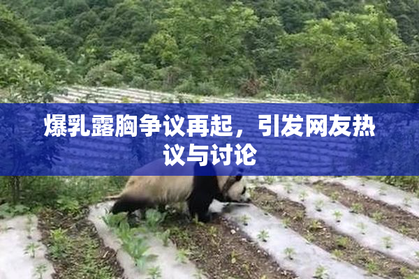 爆乳露胸争议再起，引发网友热议与讨论