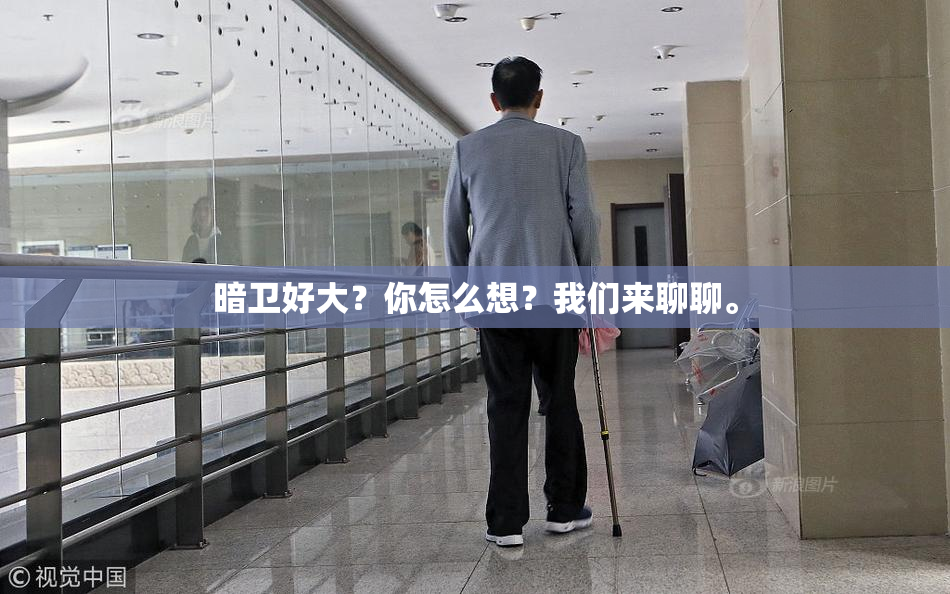 暗卫好大？你怎么想？我们来聊聊。