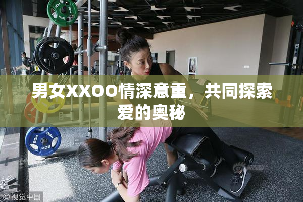 男女XXOO情深意重，共同探索爱的奥秘