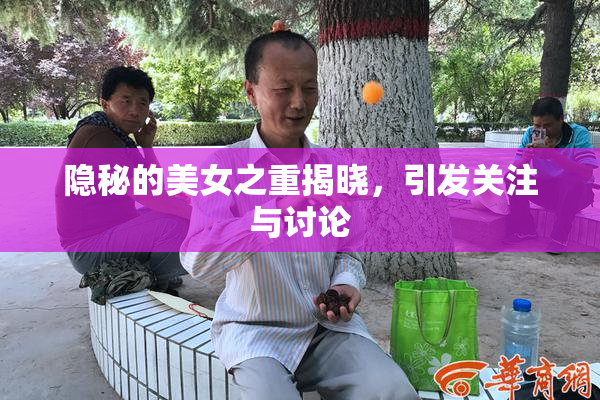 隐秘的美女之重揭晓，引发关注与讨论