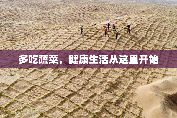 多吃蔬菜，健康生活从这里开始