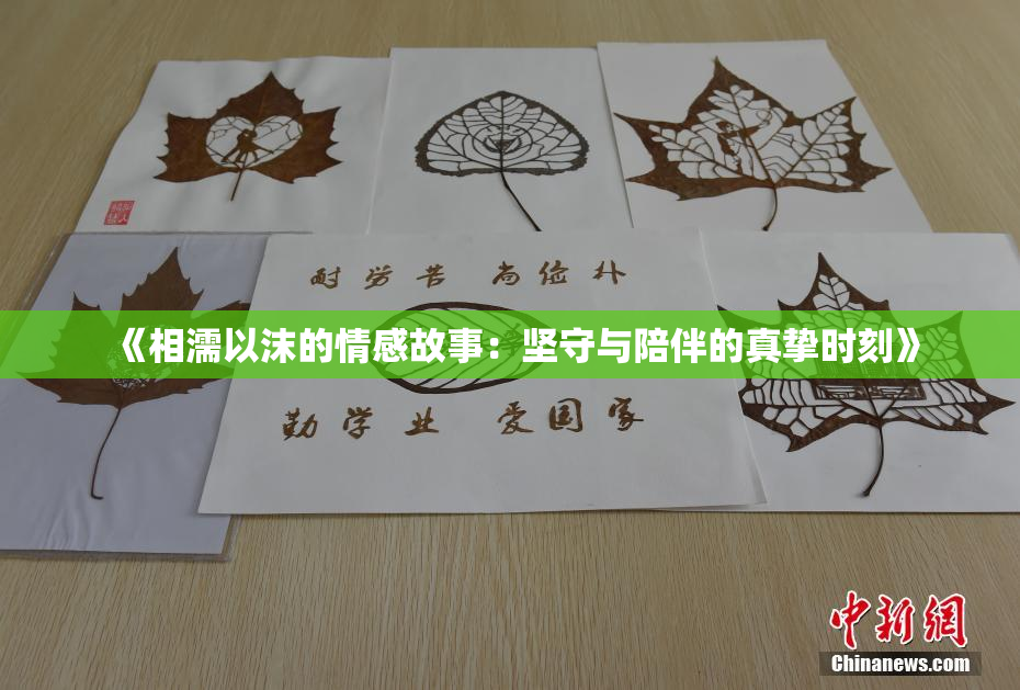 《相濡以沫的情感故事：坚守与陪伴的真挚时刻》