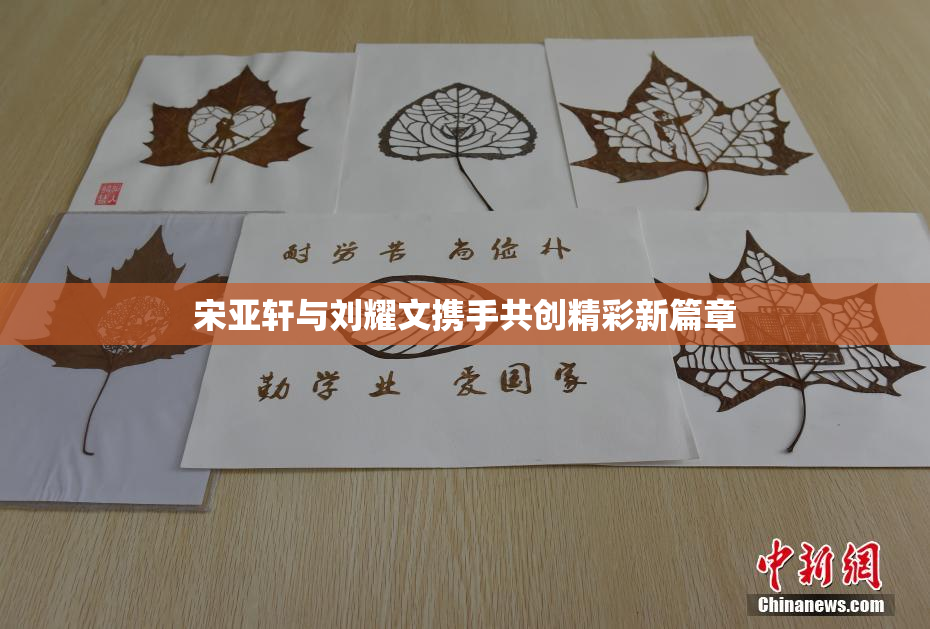 宋亚轩与刘耀文携手共创精彩新篇章