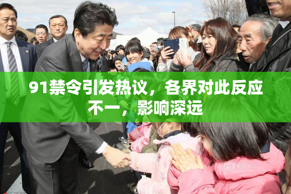 91禁令引发热议，各界对此反应不一，影响深远