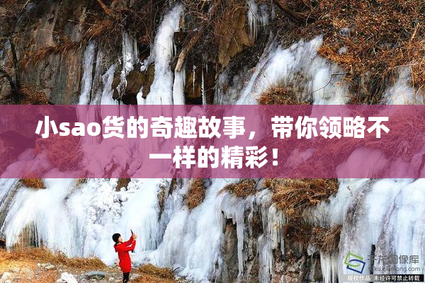 小sao货的奇趣故事，带你领略不一样的精彩！