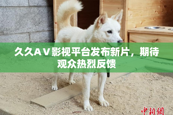 久久AⅤ影视平台发布新片，期待观众热烈反馈