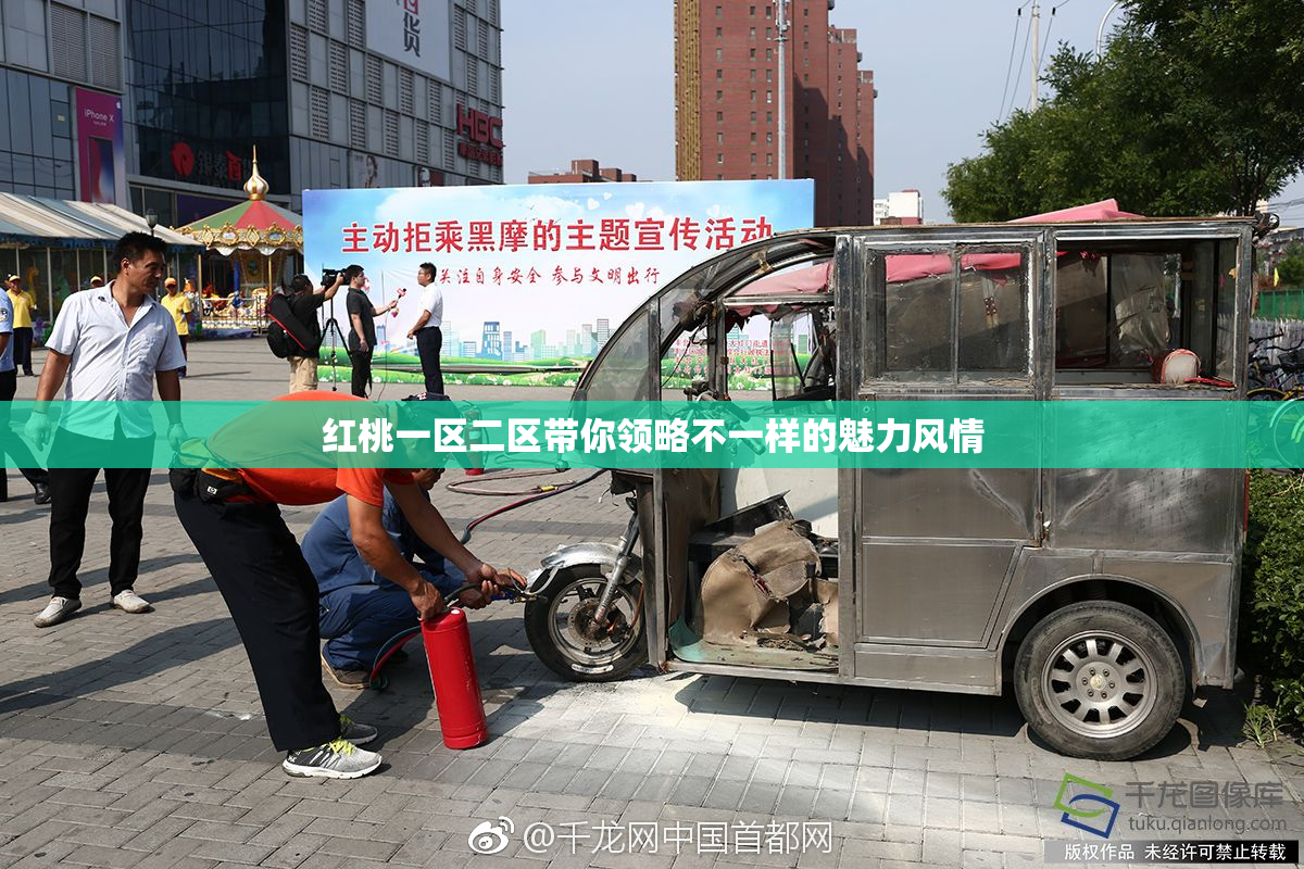 红桃一区二区带你领略不一样的魅力风情