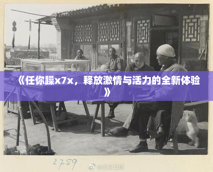《任你躁x7x，释放激情与活力的全新体验》
